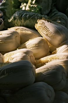 大白菜 kg