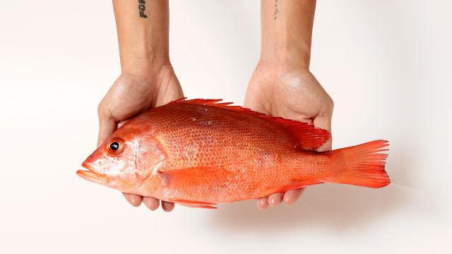 红鱼（称重/kg） 图 2