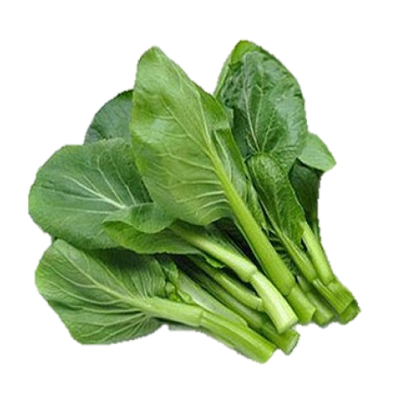 油菜芯 kg 图 3