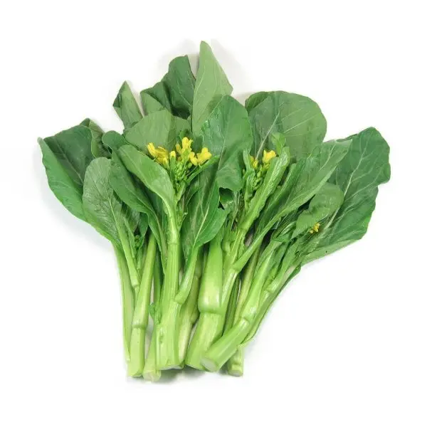 油菜芯 kg 图 4