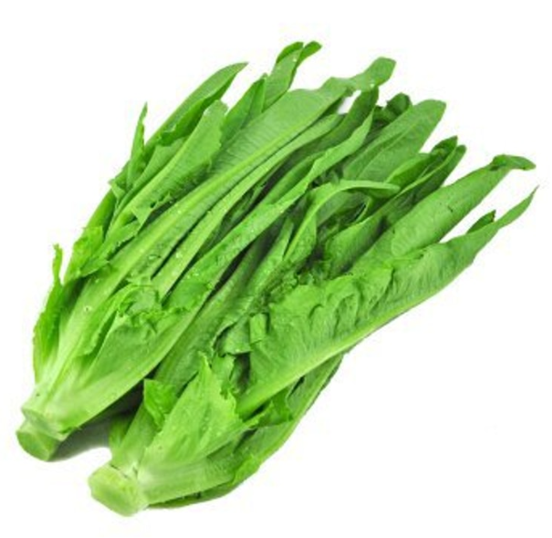 油麦菜 